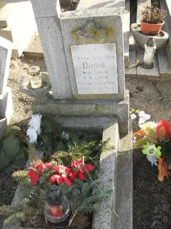 Zdjęcie grobu 6/547