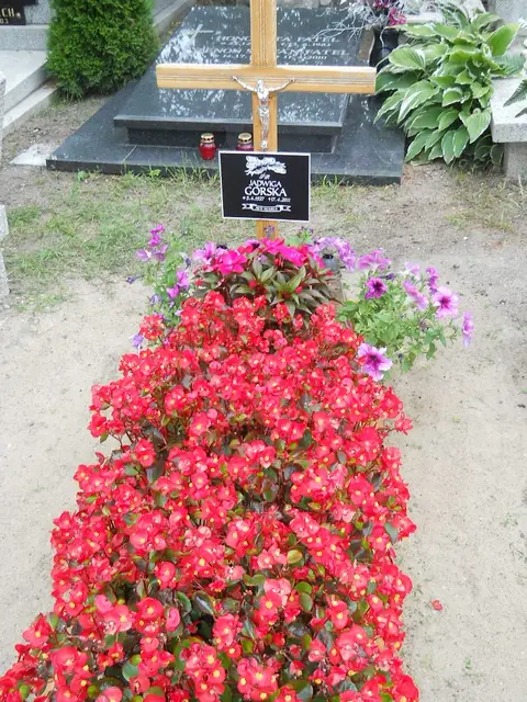 Zdjęcie grobu B/25201