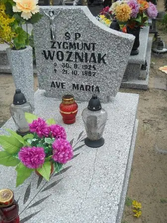 Zdjęcie grobu 43/231