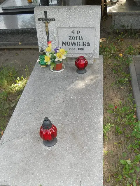 Zdjęcie grobu 9/24418