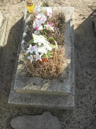 Zdjęcie grobu 6/207