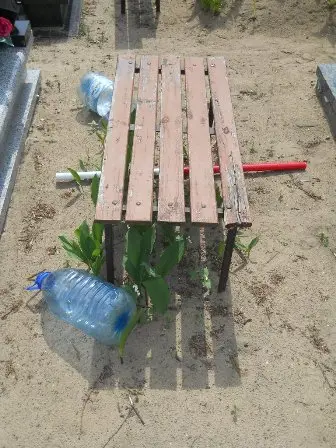 Zdjęcie grobu 40/100