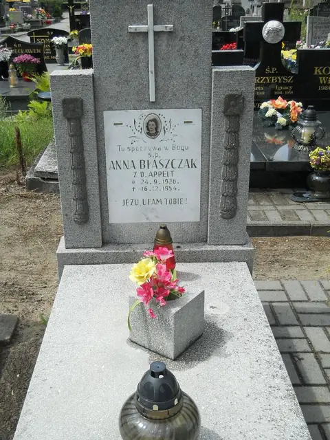 Zdjęcie grobu 5/22561