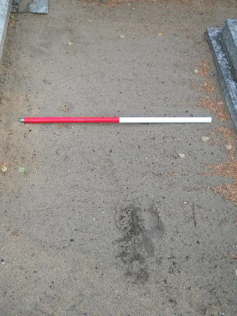 Zdjęcie grobu D/25808