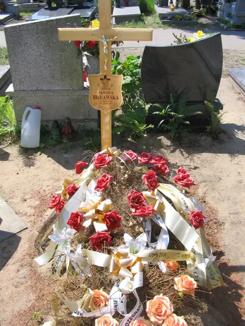 Zdjęcie grobu 24/23241