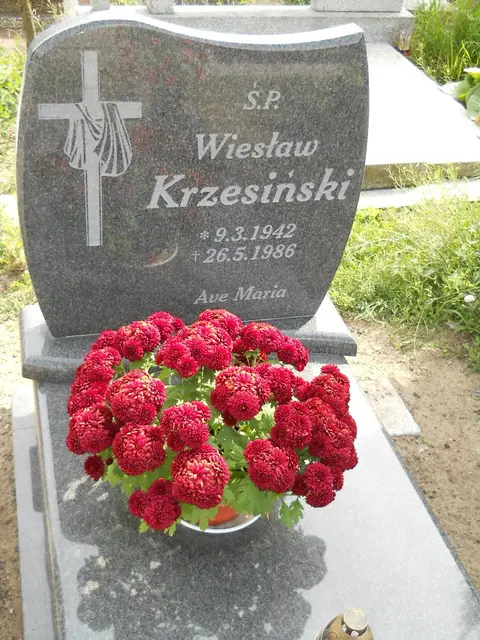 Zdjęcie grobu 27/22997