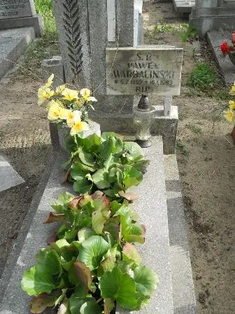 Zdjęcie grobu 9/184