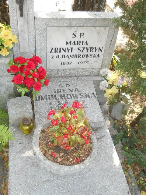 Zdjęcie grobu 18/7915/95