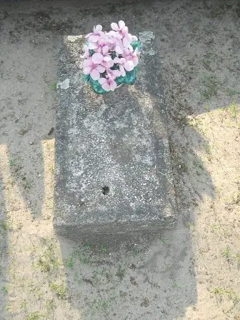Zdjęcie grobu 9/100