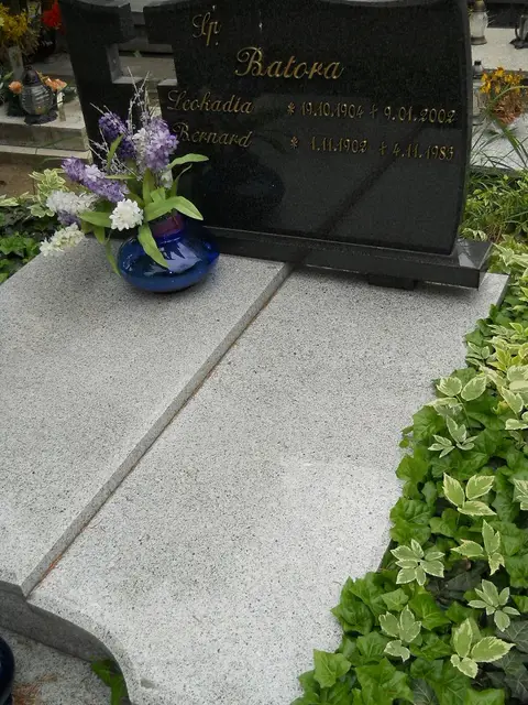 Zdjęcie grobu 7/10958