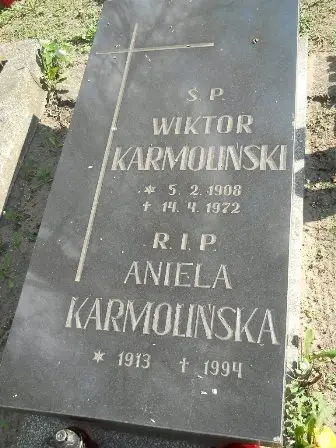 Zdjęcie grobu 9/100