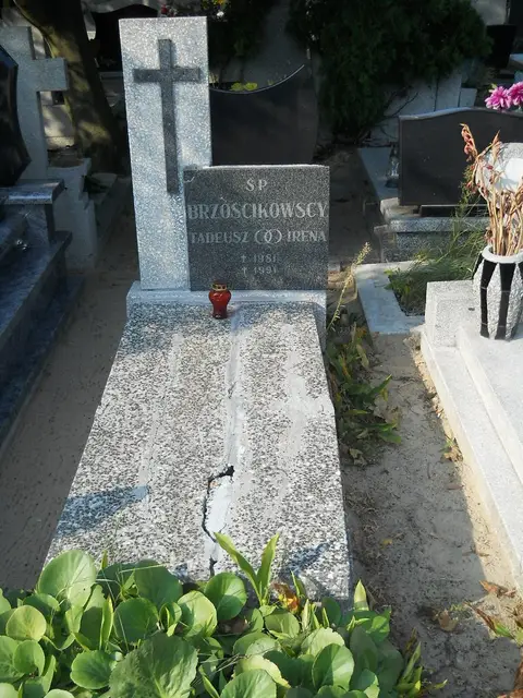 Zdjęcie grobu 18/28671