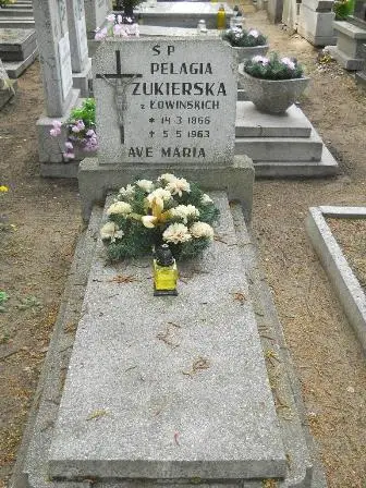 Zdjęcie grobu 33/100