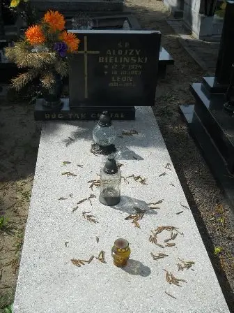 Zdjęcie grobu 27/100