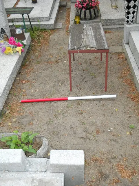 Zdjęcie grobu B/25240