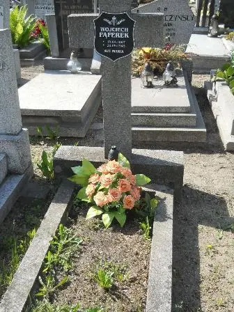 Zdjęcie grobu 24/100