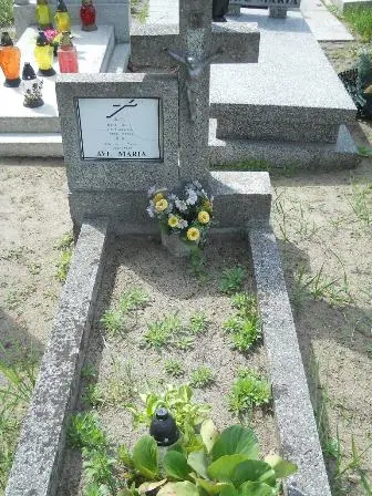 Zdjęcie grobu 20/471