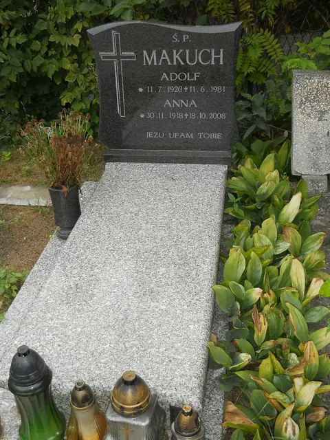 Zdjęcie grobu 16/25919