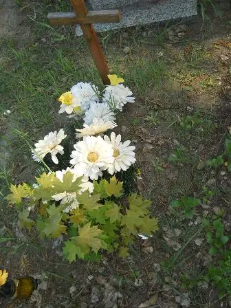 Zdjęcie grobu 32/100