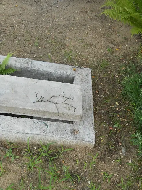 Zdjęcie grobu 5/22578