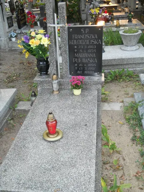 Zdjęcie grobu 13/29006