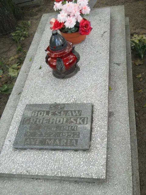 Zdjęcie grobu 13/29577