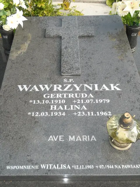 Zdjęcie grobu A/24845