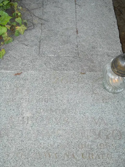 Zdjęcie grobu 7/12073