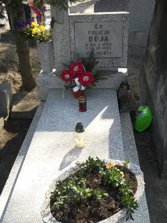 Zdjęcie grobu 3/18a
