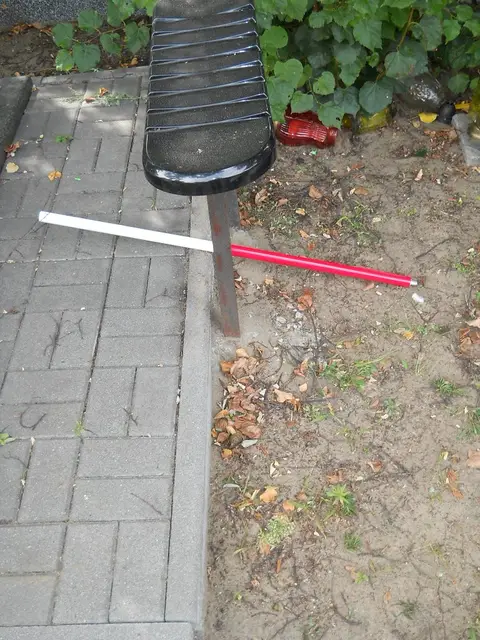 Zdjęcie grobu 9/24463
