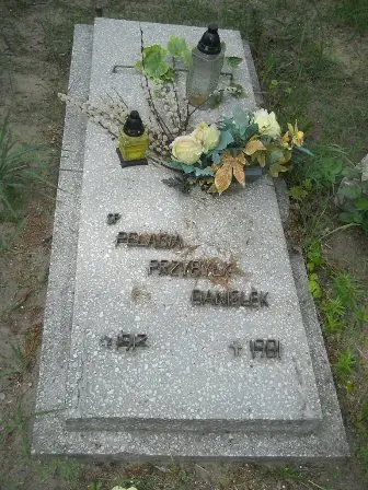 Zdjęcie grobu 20/100