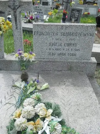Zdjęcie grobu 20/50