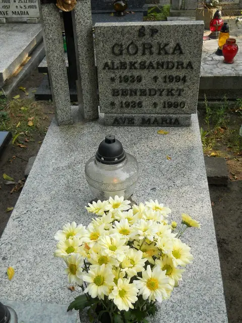 Zdjęcie grobu 15/26603