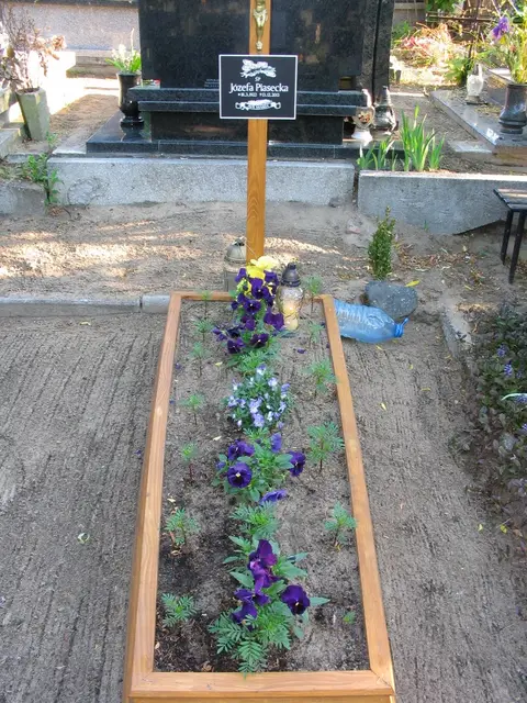 Zdjęcie grobu 14/27907