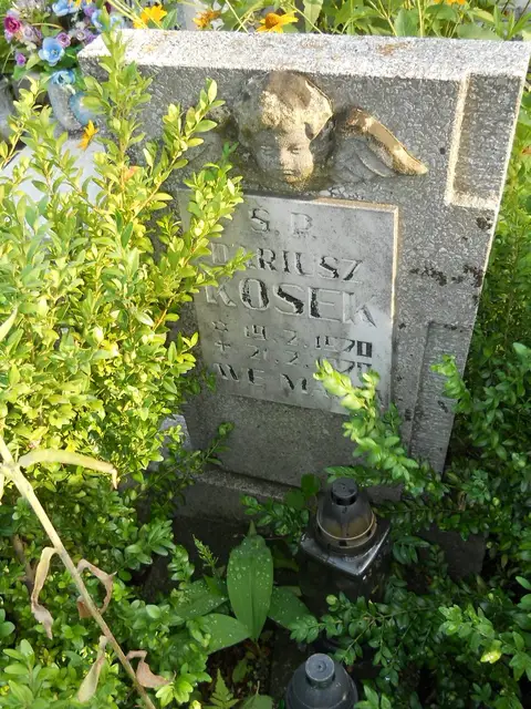 Zdjęcie grobu 21/23993