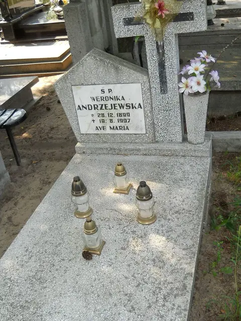 Zdjęcie grobu 17/28495