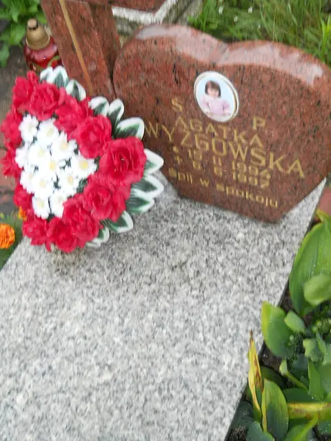 Zdjęcie grobu 21/23901