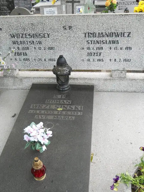 Zdjęcie grobu 8/10609