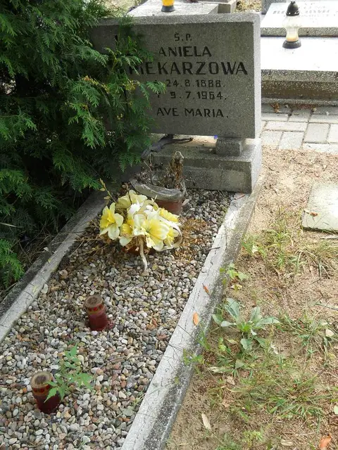Zdjęcie grobu 16/26224