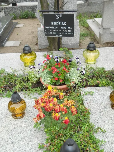 Zdjęcie grobu 7/11051