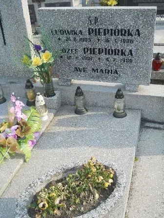Zdjęcie grobu 44/100