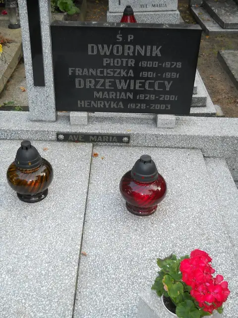 Zdjęcie grobu 14/26889