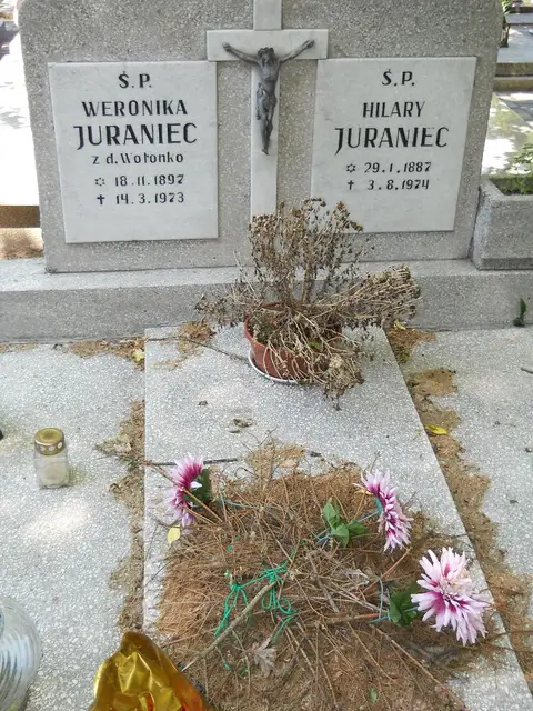 Zdjęcie grobu 8A/10278