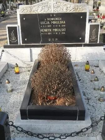Zdjęcie grobu Krzyżowy/100,100a