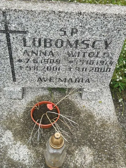 Zdjęcie grobu 24/23338