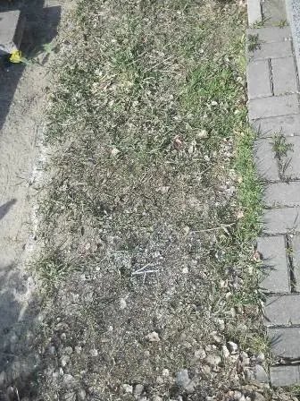 Zdjęcie grobu 5/100