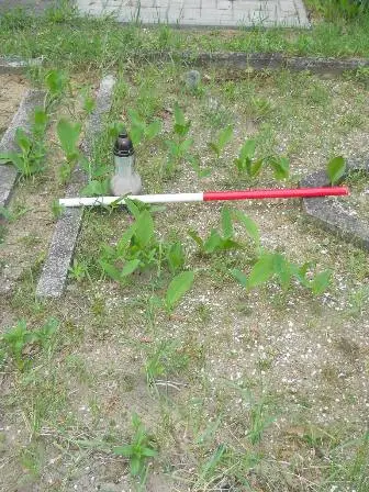Zdjęcie grobu 34/100
