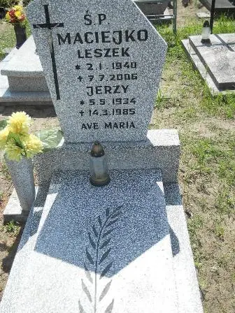 Zdjęcie grobu 25/334