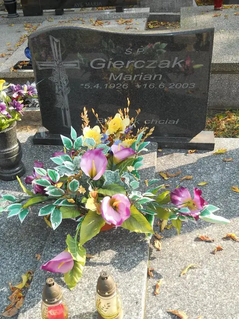 Zdjęcie grobu 15/26595