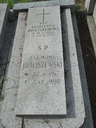 Zdjęcie grobu 38/100